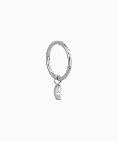 G23 Titanium Waterproof Drop Earrings