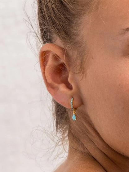 S925 Sterling Silver Drop Zirconia Earrings