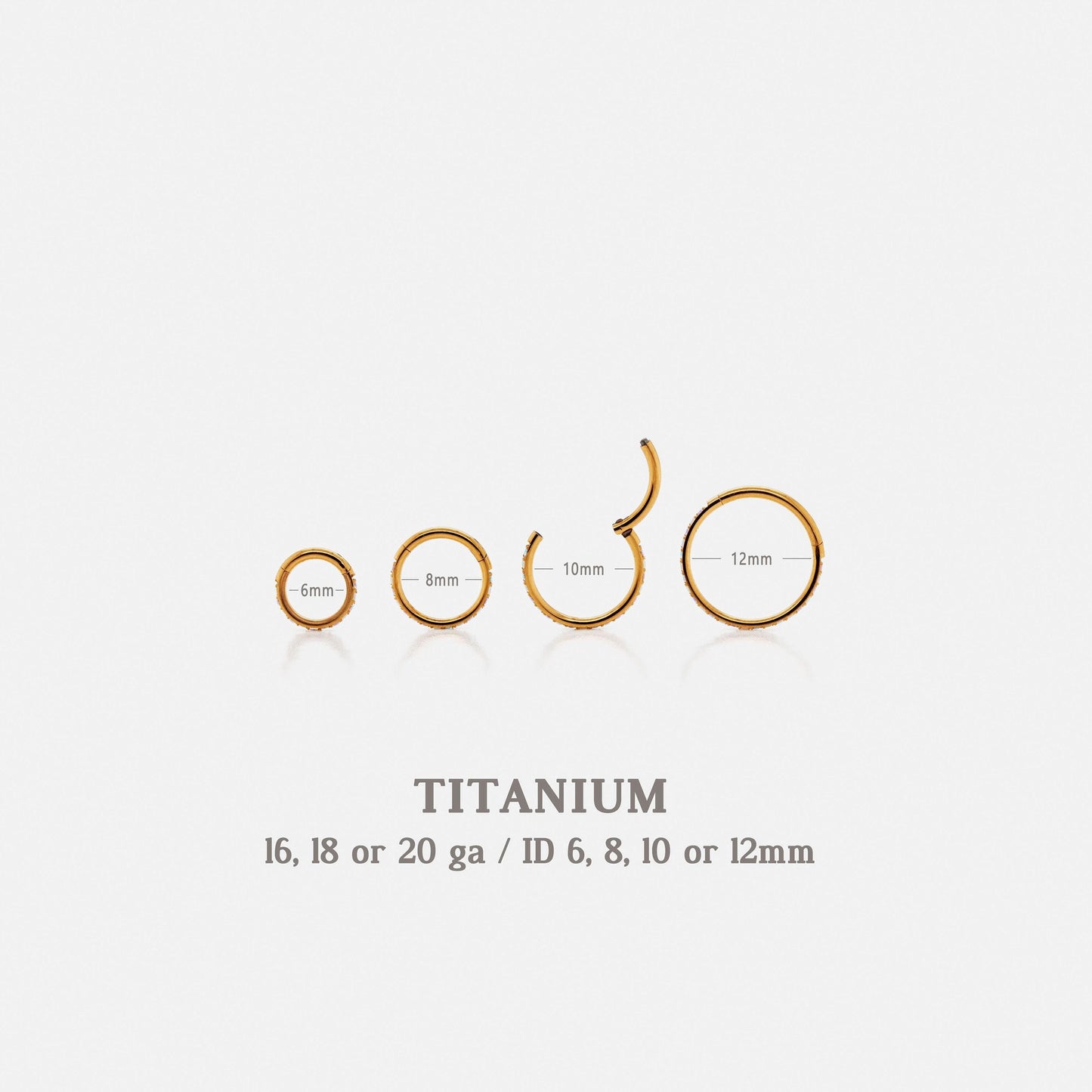 G23 Titanium Opal and CZ Round Paved Earring