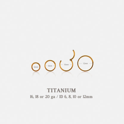 G23 Titanium Opal and CZ Round Paved Earring