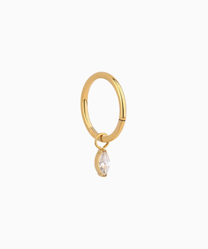 G23 Titanium Waterproof Drop Earrings